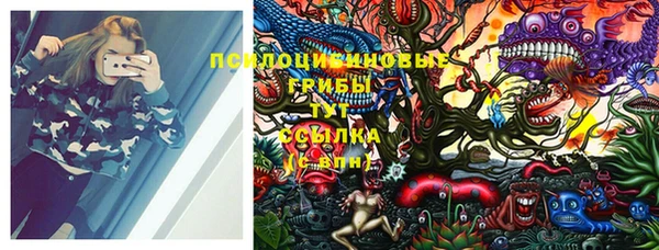 прущая мука Бородино