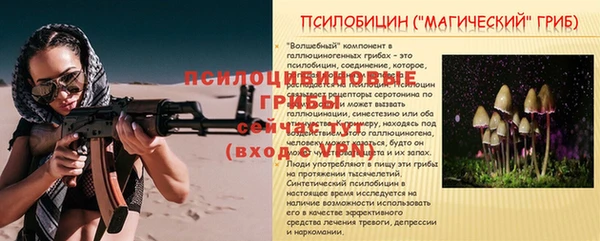прущая мука Бородино